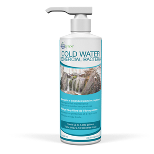 (image for) Aquascape Cold Water Beneficial Bacteria (Liquid) - 16 oz